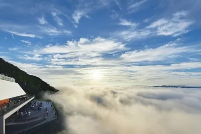 雲海テラス 2026