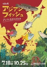 アジアンフィッシュ 2026