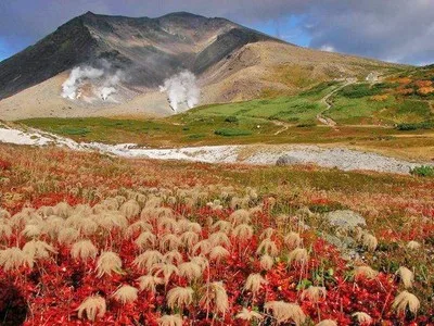 【紅葉・見ごろ】北海道大雪山系 旭岳 2026