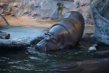 2026 ナイトZOO(ズー)