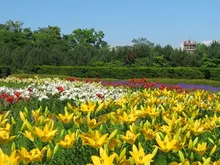 百合が原公園施設オープン 2026