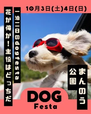 まんのう手作りフェス 2026