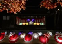 紅葉八幡宮　もみじ祭り 2026