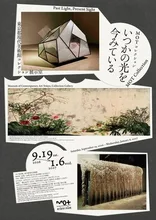 MOTコレクション　いつかの光を今みている 2026