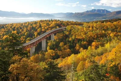 三国峠~糠平湖の紅葉 2026