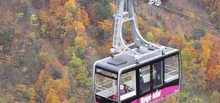 天元台・西吾妻スカイバレーの紅葉 2026
