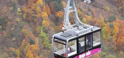 天元台・西吾妻スカイバレーの紅葉 2026