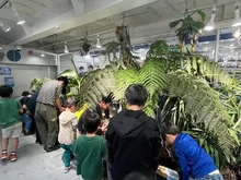 秋のクワガタ採集体験 2026