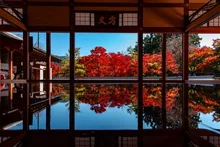 宝徳寺の紅葉 2026