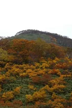 【紅葉・見ごろ】ニセコアンヌプリ・イワオヌプリ 2026