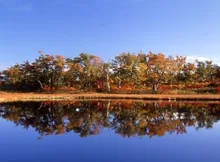 鏡沼の紅葉 2026