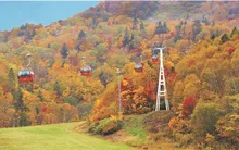 札幌国際スキー場の紅葉 2026