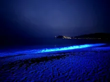 NIGHT WAVE 水晶浜 2026