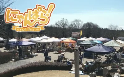 にゃんぱら! 2026