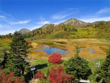 火打山(高谷池周辺)の紅葉 2026