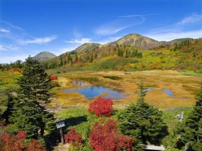 火打山(高谷池周辺)の紅葉 2026