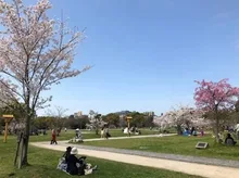 第3回 ロハスパーク福岡@舞鶴公園 2026