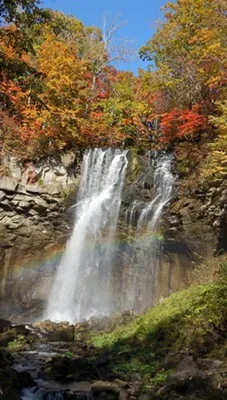 国営滝野すずらん丘陵公園の紅葉 2026