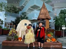 ハロウィンの衣装貸し出し 2026