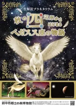ペガスス座の物語 2026