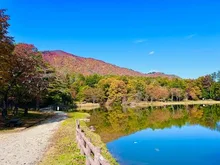 【紅葉・見ごろ】古代の丘 2026