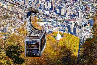 札幌もいわ山ロープウェイの紅葉 2026