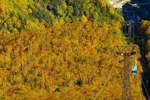 大雪山(黒岳)の紅葉 2026