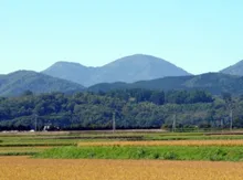 【紅葉・見ごろ】ピンネシリ 2026