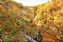 【紅葉・見ごろ】鳴子峡 2026