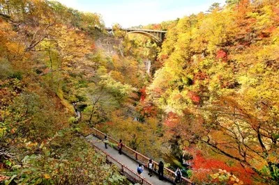 【紅葉・見ごろ】鳴子峡 2026