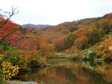【紅葉・見ごろ】大厳寺高原 2026