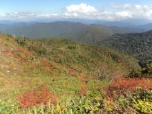 尾瀬国立公園 田代山の紅葉 2026