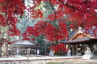 【紅葉・見ごろ】總宮神社 2026