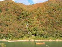 最上峡の紅葉 2026