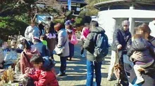 川崎市・生田緑地フリーマーケット（10月） 2026