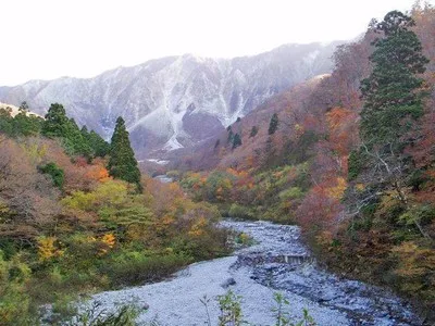 大山秋色週間 2026