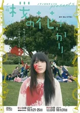 ノア版　桜の花ざかり 2026