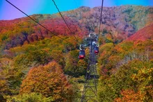 妙高高原スカイケーブルの紅葉 2026