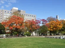 大通公園の紅葉 2026