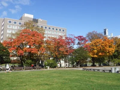 大通公園の紅葉 2026