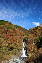 【紅葉・見ごろ】赤水の滝 2026