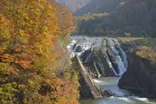 滝の上公園の紅葉 2026