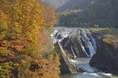 滝の上公園の紅葉 2026