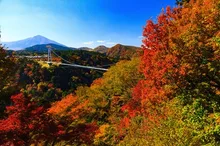 【紅葉・見ごろ】九重“夢”大吊橋 2026