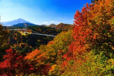 【紅葉・見ごろ】九重“夢”大吊橋 2026