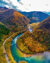 九頭竜峡の紅葉 2026