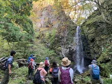 高瀬峡の紅葉 2026