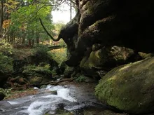 【紅葉・見ごろ】荒川剣龍峡 2026