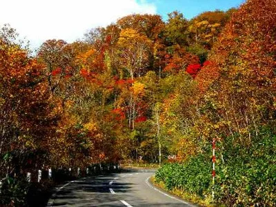 【紅葉・見ごろ】登別温泉 オロフレ峠 2026