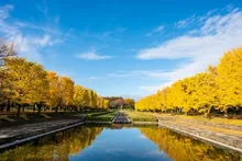 国営昭和記念公園の紅葉 2026